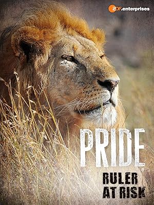 Pride Ruler at Risk