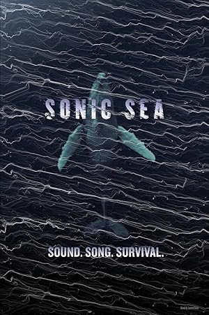 Sonic Sea