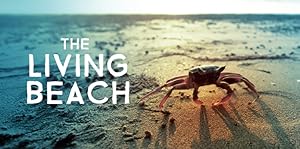 The Living Beach