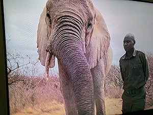 Gordon Buchanan: Elephant Family & Me