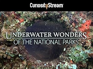 Underwater Wonders Of The National Parks