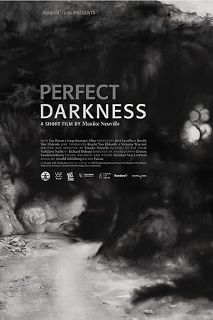 Perfect Darkness