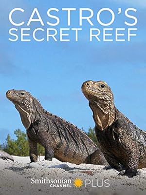 Castro's Secret Reef