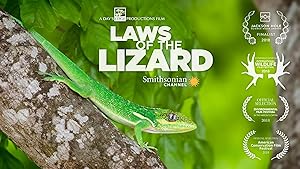 Laws of the Lizard