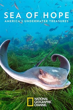 Sea of Hope: America's Underwater Treasures