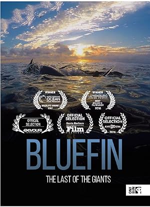 Bluefin