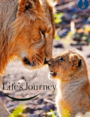 Life's Journey