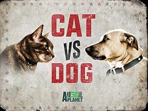 Cat vs. Dog