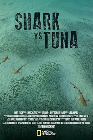 Shark vs. Tuna