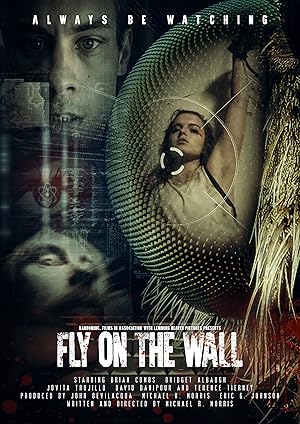 Fly on the Wall