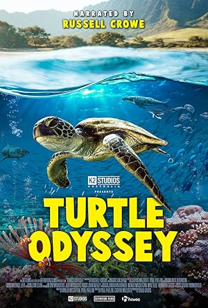 Turtle Odyssey