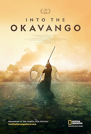 Into the Okavango