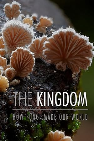 The Kingdom: How Fungi Made Our World