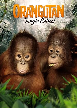 Orangutan Jungle School