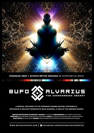 Bufo Alvarius – The Underground Secret