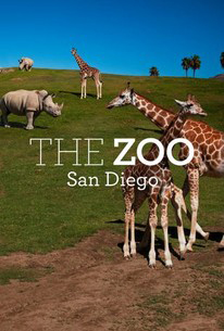 The Zoo: San Diego