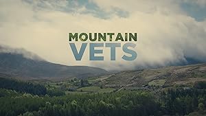 Mountain Vets