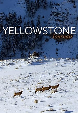 Yellowstone Journals