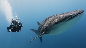 Nigel Marven's Wild Philippines