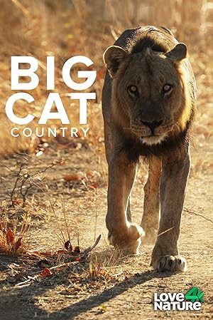 Big Cat Country