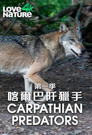 Carpathian Predators