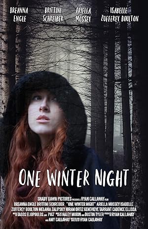 One Winter Night