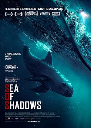 Sea of Shadows