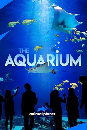 The Aquarium