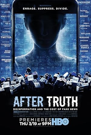 After Truth: Disinformation and the Cost of Fake News