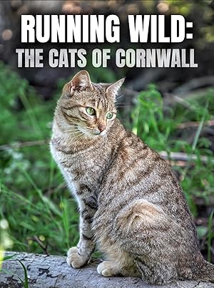 Running Wild: The Cats of Cornwall