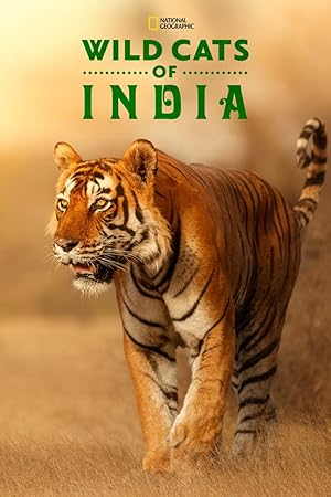 Wild Cats of India