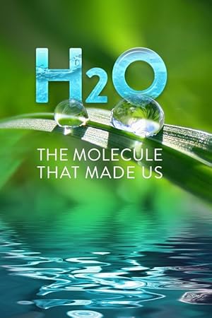 H2O: The Molecule that Made Us