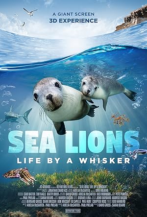 Sea Lions: Life By a Whisker