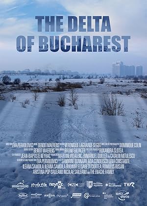 The Delta of Bucharest