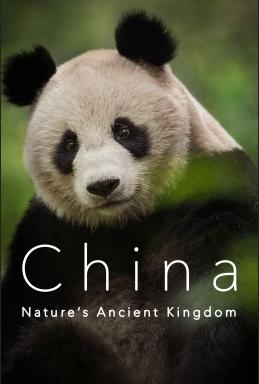 China Nature's Ancient Kingdom