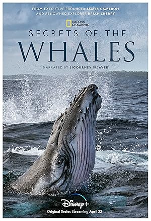 Secrets of the Whales