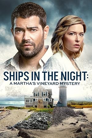 Ships in the Night: A Martha's Vineyard Mystery