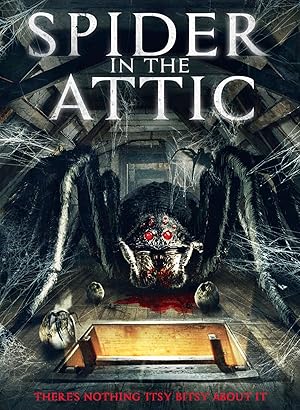 Spider in the Attic