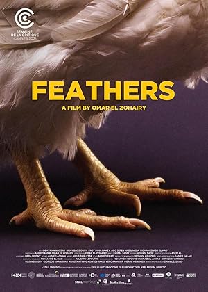 Feathers