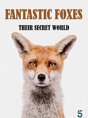 Foxes: Their Secret World