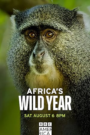 Africa's Wild Year