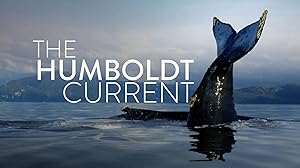 The Humboldt Current