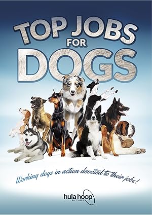 Top Jobs for Dogs