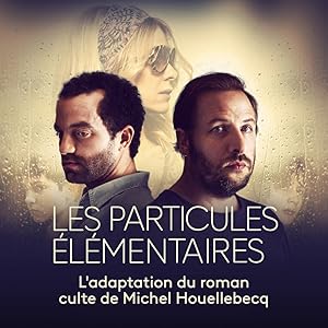 Les particules élémentaires