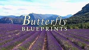 Butterfly Blueprints