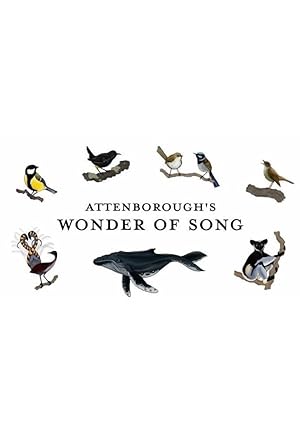 Attenborough's Wonder of Song