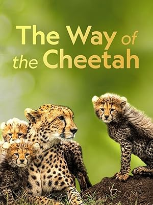 The Way of the Cheetah