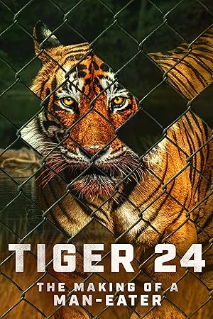 Tiger 24