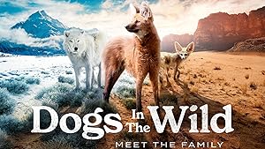 Dogs in the Wild: Meet the Family