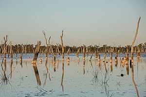 The Lake of Scars